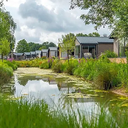 Tidy With Dishwasher, Near The River Maas